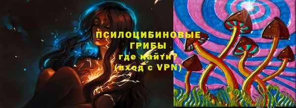 соль ск Кулебаки